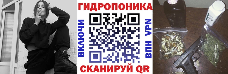 Бошки Шишки Amnesia  Усинск 